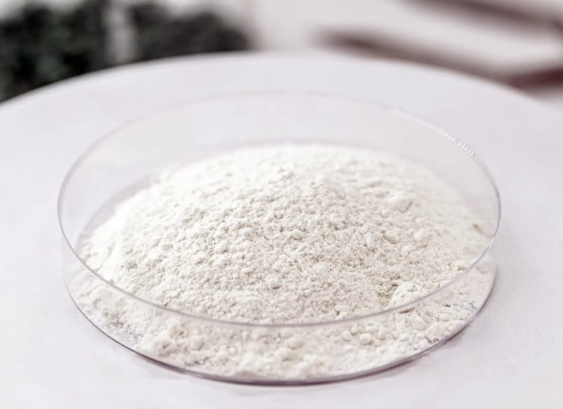 Butcher's Broom ingredient